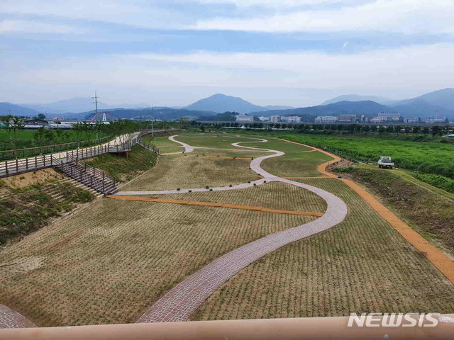 직지사천 고수부지에 조성된 '핑크뮬리 공원' (사진=김천시 제공)