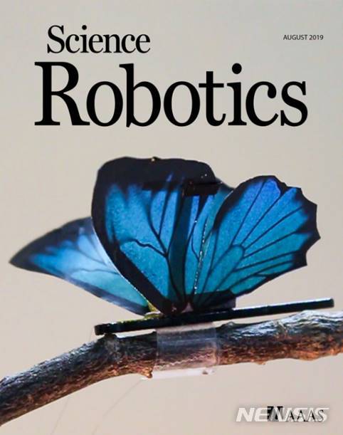 【서울=뉴시스】Science Robotics 2019년 8월호 Cover Image로 선정. 맥신(MXene) 기반 소프트 액츄에이터가 나비 날개에 통합돼 날개짓하는 카이네틱 예술 소품으로 사용됨(그림/KAIST 제공) photo@newsis.com