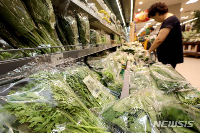 【서울=뉴시스】김병문 기자 = 선선한 날씨로 인해 채솟값이 하락세를 보이는 가운데 22일 오전 서울 성동구의 한 대형마트에서 시민이 채소를 고르고 있다. 2019.08.22. dadazon@newsis.com
