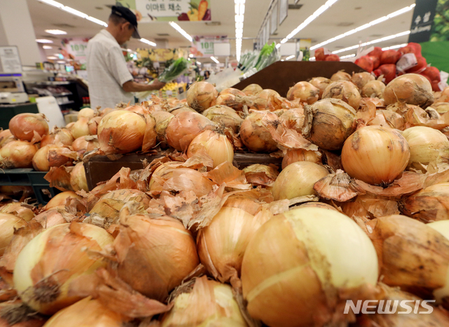 【서울=뉴시스】김병문 기자 = 선선한 날씨로 인해 채솟값이 하락세를 보이는 가운데 22일 오전 서울 성동구의 한 대형마트에서 시민이 채소를 고르고 있다. 2019.08.22. dadazon@newsis.com