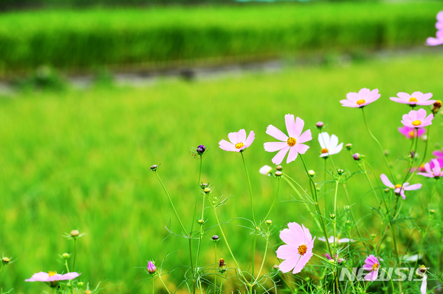 일요일 아침 쌀쌀…강원·경북산지 등 서리도
