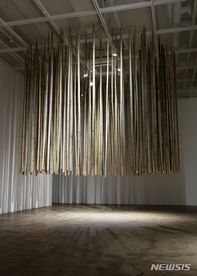 【서울=뉴시스】김기철, 대나무-개미, 2019, 대나무, 300(h), 가변크기