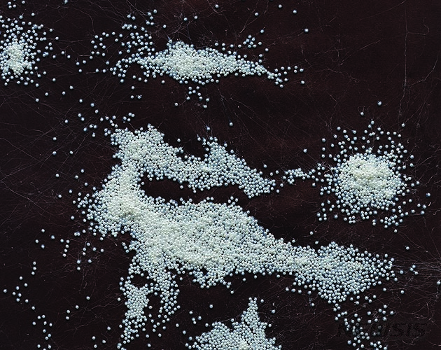 【서울=뉴시스】갤러리 바톤 고산금 개인전