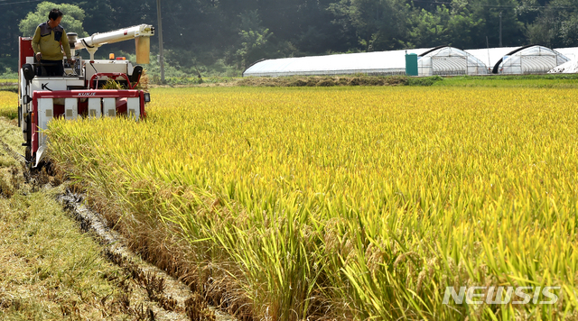 '농약 쌀' 학교에 납품…영농조합법인 대표 등 2명 구속