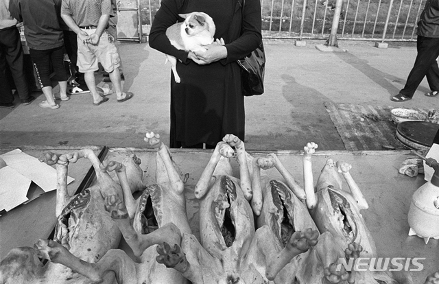 주민들의 생활 ⓒ엄상빈