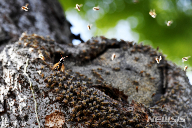 (사진은 기사 내용과 관련 없음)