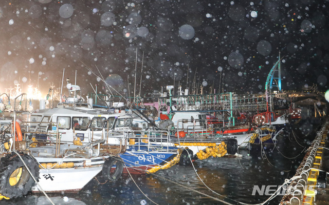 【서귀포=뉴시스】우장호 기자 = 제13호 태풍 '링링'(LINGLING) 한반도를 향해 빠르게 북상 중인 6일 오후 제주 서귀포시 서귀포항에 미리 대피한 선박들이 불을 밝히고 정박해 있다. 2019.09.06. woo1223@newsis.com