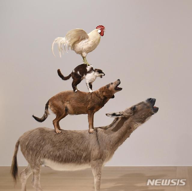 [원추 오늘의운세]닭띠 ㄱ·ㅈ·ㅇ성씨, 마음 바로잡으세요