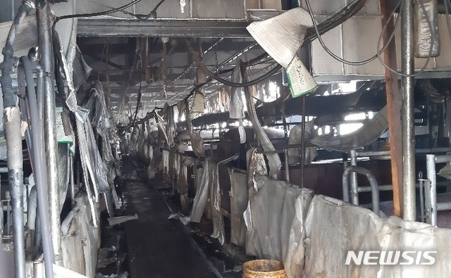 【철원=뉴시스】(사진=뉴시스 DB)