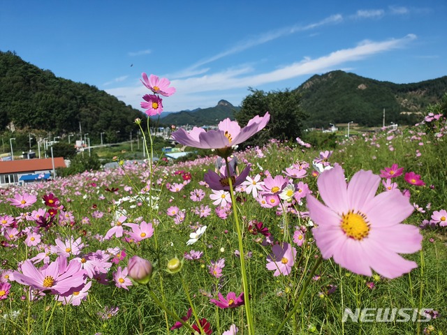 【횡성=뉴시스】한윤식 기자 = ysh@newsis.com