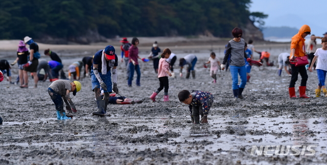 【여수=뉴시스】 '여자만 갯벌노을 체험행사'. 2019.09.16. (사진=여수시청 제공) photo@newsis.com