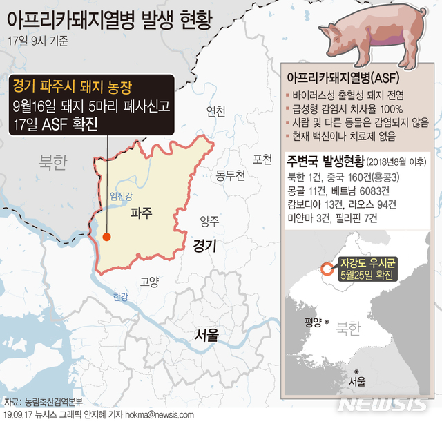 【서울=뉴시스】농림축산식품부는 17일 경기 파주 돼지농장에서 발생한 아프리카돼지열병이 확진됐다고 밝혔다. (그래픽=안지혜 기자)  hokma@newsis.com