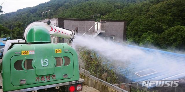  [부산=뉴시스] 허상천 기자 = 부산시는 경기 파주 돼지농장에서 아프리카 돼지열병이 발생함에 따라 관내 돼지농가를 대상으로 긴급 방역을 했다고 17일 밝혔다. 2019.09.17. (사진 = 부산시 제공) photo@newsis.com