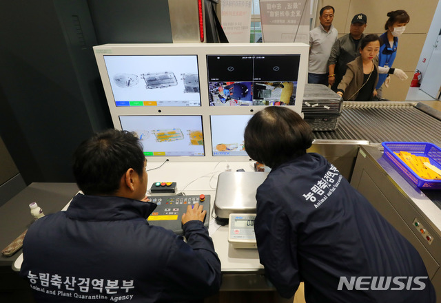 【인천공항=뉴시스】배훈식 기자 = 아프리카돼지열병(ASF)이 국내에서 첫 확진된 17일 오후 인천국제공항 제2터미널 입국장에서 농림축산검역본부 직원들이 입국하는 승객들의 휴대품을 검역하고 있다. 돼지고기 가공품 등 불법 축산물 국내 반입 시 과태료 최대 1000만원이 부과된다. 2019.09.17. dahora83@newsis.com