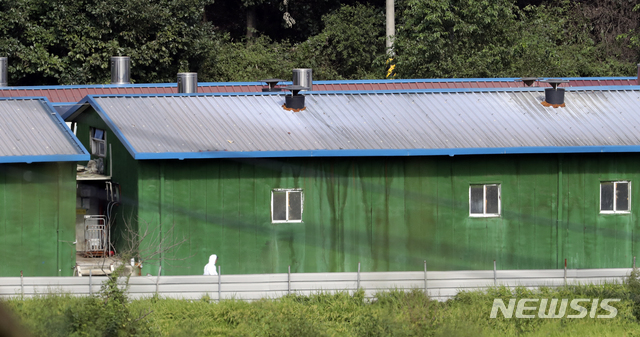 【파주=뉴시스】최진석 기자 = 17일 아프리카돼지열병(ASF)이 발생한 경기 파주 한 양돈농장에서 한 관계자가 방역복을 입고 농장을 살펴보고 있다.&nbsp; 국내에서 아프리카돼지열병(ASF)이 처음으로 발생한 것으로 사람이 걸리진 않지만 돼지가 걸렸을 때 치사율이 최대 100%에 달하는 것으로 알려진 전염병이다. 구제역과 달리 아직 백신도 개발되지 않은 치명적 질병으로 예방차원에서 살처분 한다. 2019.09.17. myjs@newsis.com