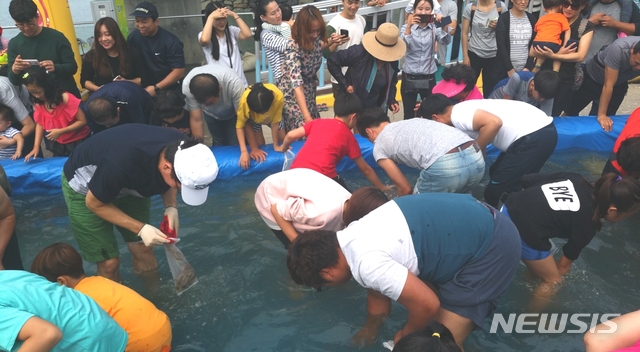 가을별미 맛보러 오세요, 보령 '무창포 대하·전어 축제'