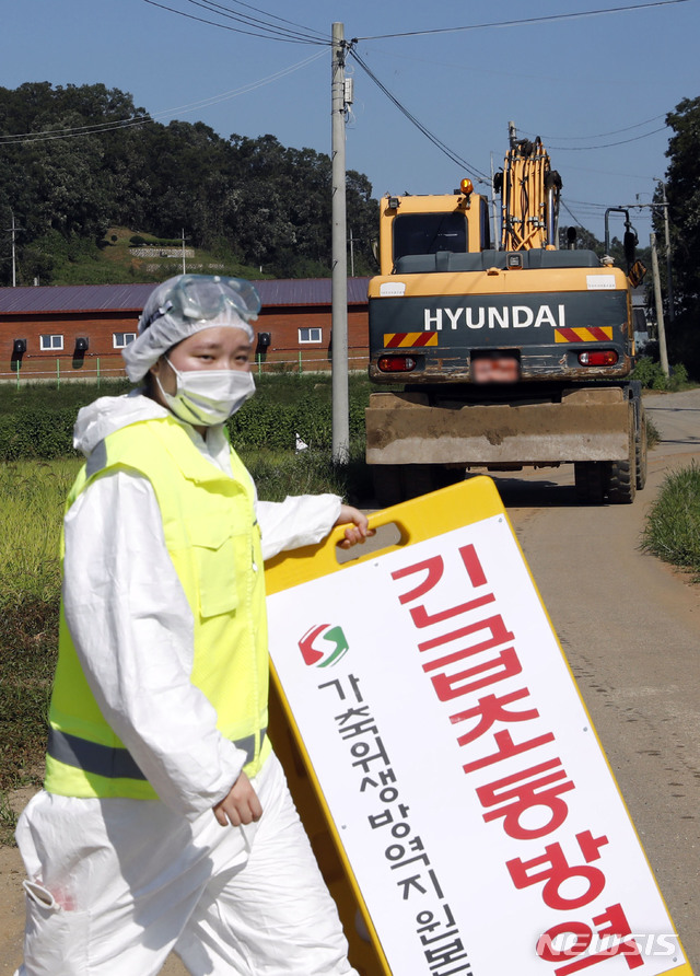 【연천=뉴시스】최동준 기자 = 18일 아프리카돼지열병(ASF)이 발생한 경기 연천군의 한 돼지 농장으로 들어가는 길목에서 살처분 작업을 하기 위해 포크레인이 들어가고 있다. 2019.09.18.&nbsp; photocdj@newsis.com 