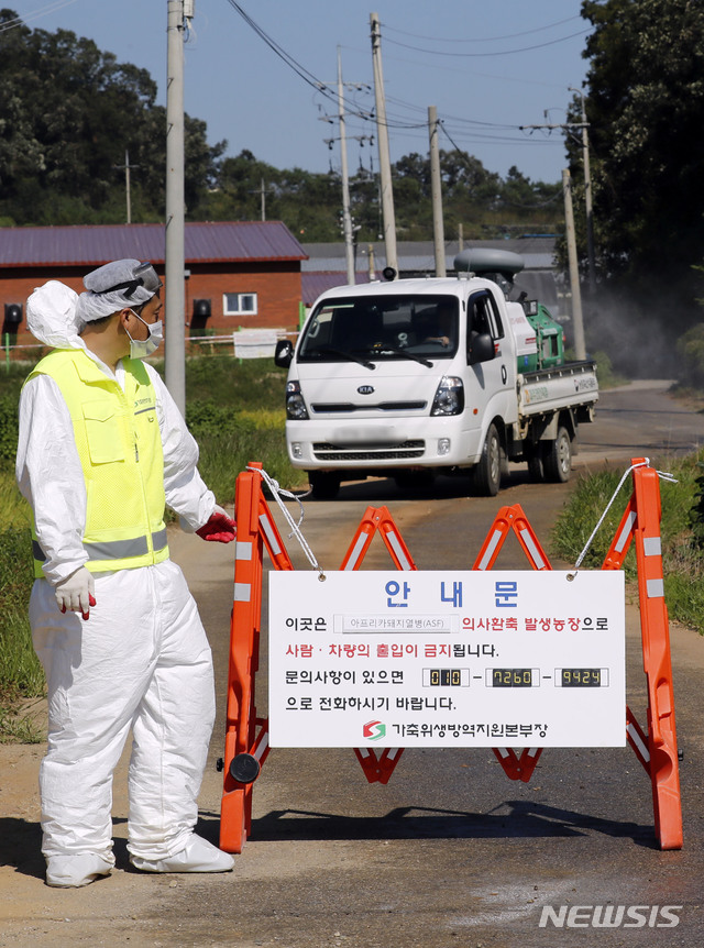 【연천=뉴시스】최동준 기자 = 18일 아프리카돼지열병(ASF)이 발생한 경기 연천군의 한 돼지 농장으로 들어가는 길목에서 방역 관계자가 소독 작업을 하고 있다. 2019.09.18.&nbsp; photocdj@newsis.com 
