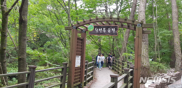 (사진=치악산국립공원사무소 제공)