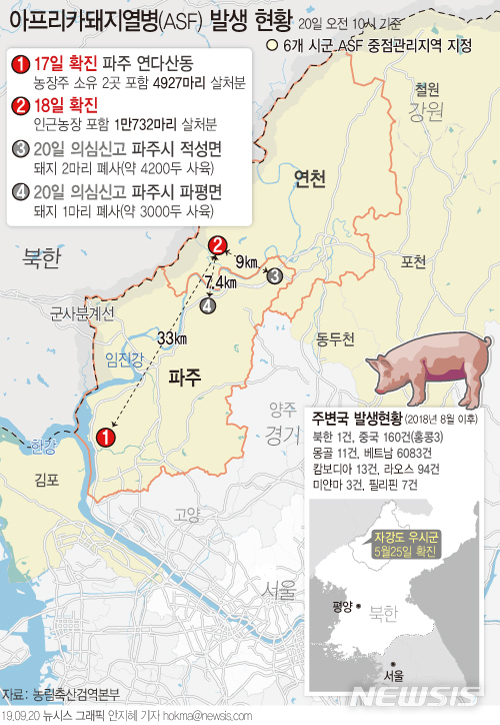 【서울=뉴시스】농림축산식품부는 20일 오전 10시께 경기 파주시에 위치한 농장 2곳으로부터 아프리카돼지열병(ASF) 의심 신고가 들어왔다고 밝혔다. (그래픽=안지혜 기자) hokma@newsis.com
