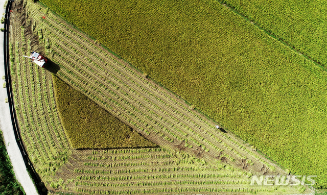 7월 세계식량가격지수, 두 달째 상승…국제 수요 살아난 영향