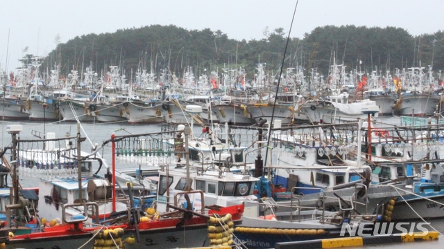 【서귀포=뉴시스】강경태 기자 =제17호 태풍 ‘타파’가 북상하고 있는 가운데 21일 오전 제주 서귀포시 서귀포항에 미리 대피한 선박들이 줄지어 정박해 있다. 2019.09.21. ktk2807@newsis.com