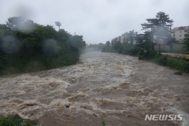 폭우로 범람할 듯 물이 흐르는 제주 한천.(뉴시스 DB)