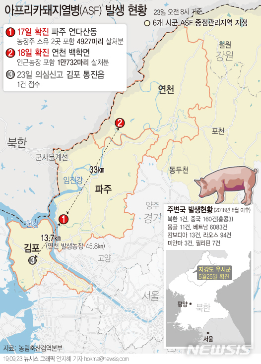 【서울=뉴시스】농림축산식품부는 23일 오전 6시40분께 경기 김포시 소재 한 양돈 농장에서 1건의 아프리카돼지열병(ASF) 의심축이 신고됐다고 밝혔다. (그래픽=안지혜 기자) hokma@newsis.com 