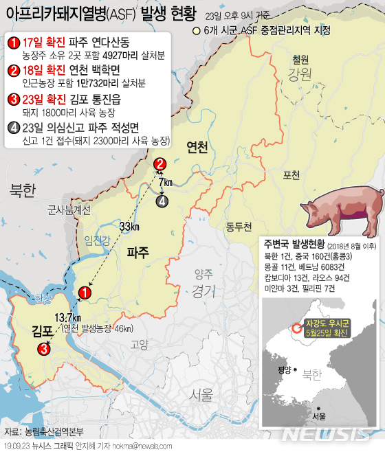 【서울=뉴시스】경기 김포시 돼지농가가 23일 3번째 아프리카돼지열병(ASF) 확진 판정을 받은 가운데 최초 ASF 발생지인 파주시에서 또 다시 의심축 신고가 접수됐다. (그래픽=안지혜 기자) hokma@newsis.com