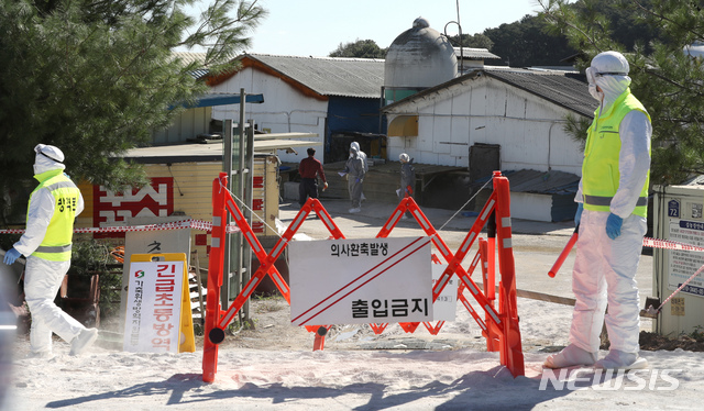 【김포=뉴시스】 전진환 기자 = 23일 오전 아프리카 돼지열병(ASF) 의심 신고가 접수된 경기도 김포시 한 돼지농장에서 방역관계자들이 농장주와 상황조사를 하고 있다. 2019.09.23. amin2@newsis.com