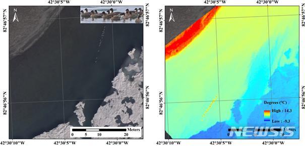 【서울=뉴시스】 북그린란드 해안가에서 촬영한 가시광선 영상(좌)과 적외선 영상(우). 두 영상 모두 분홍발기러기 16마리 식별. (제공 = 극지연구소)