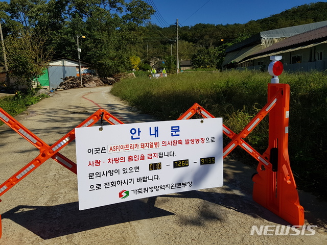 【인천=뉴시스】 24일 오후 인천 강화군 지역에 아프리카돼지열병(ASF) 의심 판정을 받은 돼지 사육 농가 주변을 통제 하고 있다. 2019.09.24. hsh3355@newsis.com