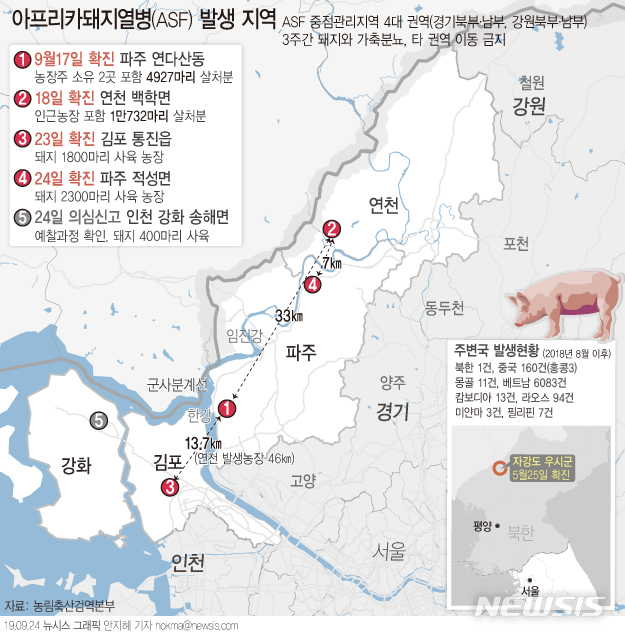 【그래픽=뉴시스】아프리카돼지열병(ASF) 현황(확진 총 4건). hokma@newsis.com