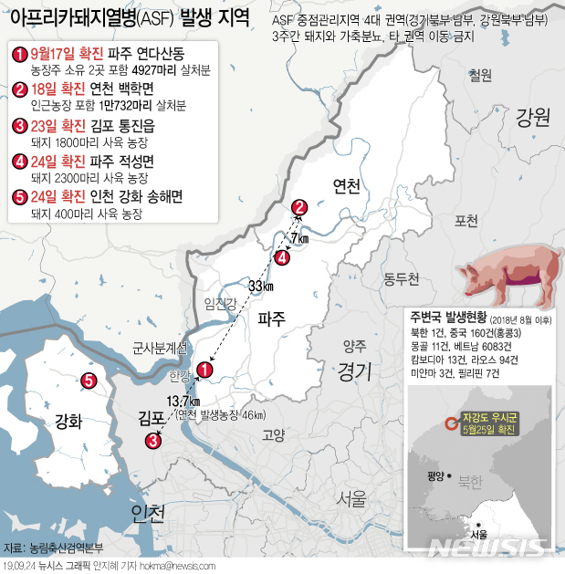 【서울=뉴시스】농림축산식품부는 24일 인천 강화군 송해면 소재 돼지 농장에 대한 아프리카돼지열병(ASF) 정밀 검사를 진행한 결과 확진 판정이 났다고 밝혔다. (그래픽=안지혜 기자) hokma@newsis.com