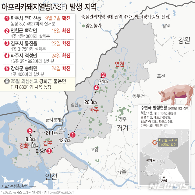 【서울=뉴시스】농림축산식품부에 따르면 25일 인천시 강화군 불은면 양돈농가에서 아프리카돼지열병(ASF) 의심축 신고가 1건 접수됐다. 24일 오후 11시 기준 살처분 대상 돼지는 28개 농장 5만901마리로 2만172마리에 대한 살처분이 완료된 상태다. (그래픽=안지혜 기자) hokma@newsis.com