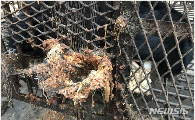 【서울=뉴시스】25일 동물자유연대 등이 국내 사육곰 현장조사 결과등을 발표했다. 현장조사를 통해 드러난 사육곰 농장들의 위생 상태. 2019.9.25(사진=동물자유연대) photo@newsis.com