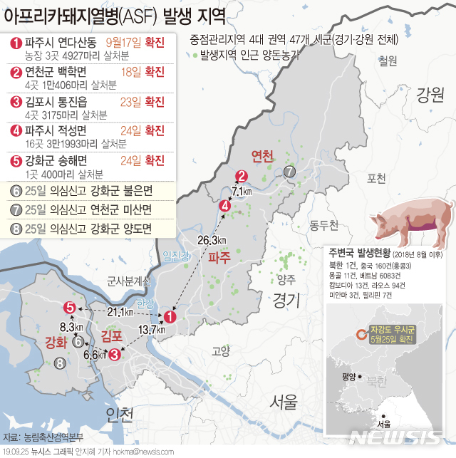 【서울=뉴시스】농림축산식품부에 따르면 25일 인천시 강화군 2곳과 연천군 1곳 양돈농가에서 아프리카돼지열병(ASF) 의심축 신고가 접수됐다. 24일 오후 11시 기준 살처분 대상 돼지는 28개 농장 5만901마리로 2만172마리에 대한 살처분이 완료된 상태다. (그래픽=안지혜 기자) hokma@newsis.com 