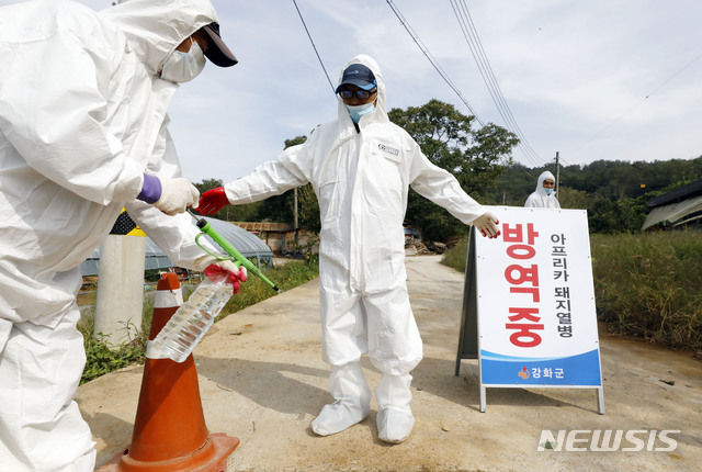 【인천=뉴시스】최동준 기자 = 25일 아프리카돼지열병(ASF) 확진 판정을 받은 인천 강화군 송해면 소재 돼지 농장으로 들어가는 길목에서 방역 관계자가 출입을 통제하고 있다. 2019.09.25.  photocdj@newsis.com