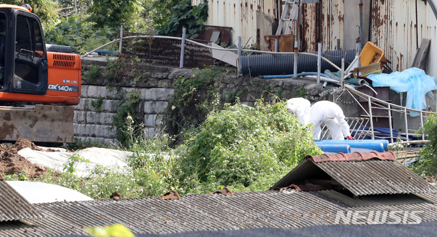 【강화=뉴시스】 전진환 기자 = 아프리카돼지열병(ASF) 양성판정이 내려진 인천시 강화군 붙은면 소재 한 돼지농장에서 26일 오전 방역당국 관계자들이 돼지 구덩이에 가스를 주입했던 가스통을 정리하고 있다. 2019.09.26.&nbsp; amin2@newsis.com
