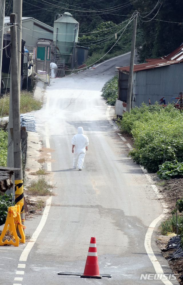 경기 포천서 돼지열병 의심신고…확진시 14번째(종합)