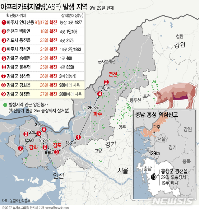 【서울=뉴시스】농림축산식품부에 따르면 29일 충남 홍성군 광천읍에서 아프리카돼지열병(ASF) 의심신고 1건이 발생했다.  (그래픽=안지혜 기자) hokma@newsis.com