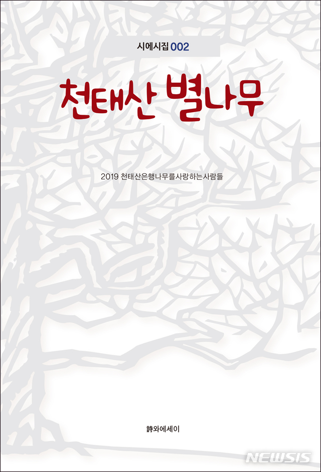 【영동=뉴시스】‘천태산 은행나무를 사랑하는 사람들’(대표 양문규 시인)이 열한 번째로 펴낸 천태산 은행나무 시 모음집 ‘천태산 별나무(시와에세이·415쪽)’ 표지.(사진=영동군 제공)  photo@newsis.com