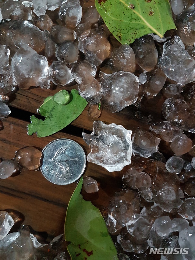 【제주=뉴시스】강경태 기자 = 지난달 30일 밤 제주시 구좌읍 세화리에 떨어진 우박. 2019.10.01. (사진=독자 정의준씨 제공)&nbsp; ktk2807@newsis.com 