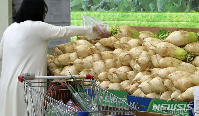 기대물가, 또 하락 '역대 최저'…커지는 디플레 우려