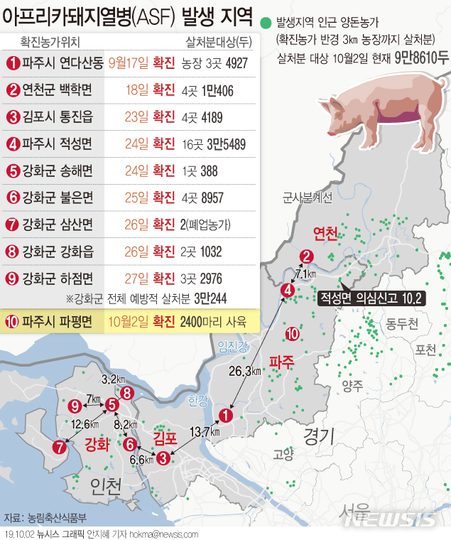 【서울=뉴시스】농림축산식품부는 지난 1일 경기 파주시 파평면 소재 돼지 농장 1곳에서 접수된 아프리카돼지열병(ASF)의심 신고에 대해 양성(확진) 판정이 나왔다고 2일 밝혔다. (그래픽=안지혜 기자) hokma@newsis.com