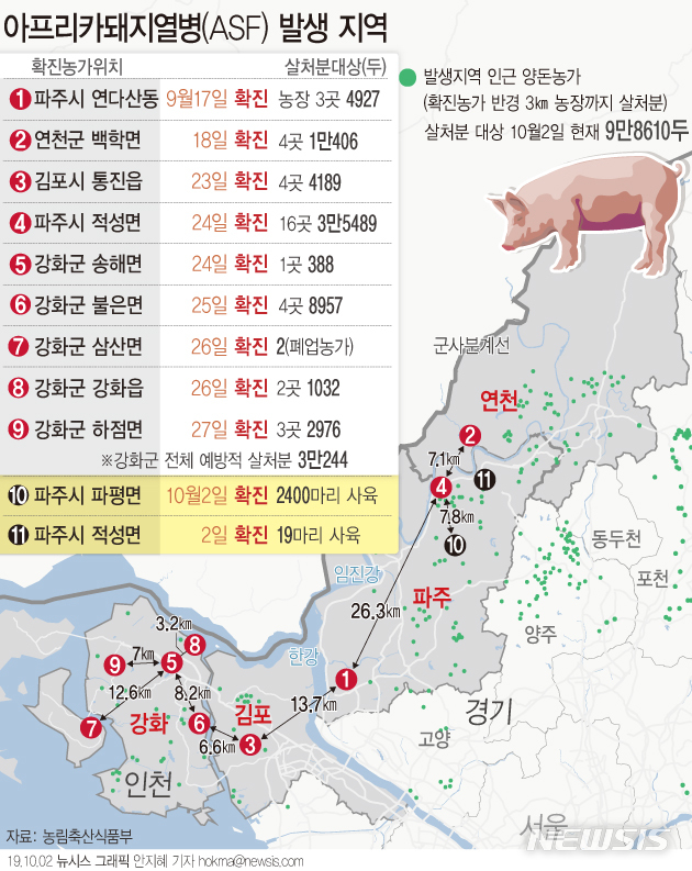 【서울=뉴시스】2일 경기도 파주시에서만 2건의 아프리카돼지열병(ASF) 확진 사례가 나왔다.  (그래픽=안지혜 기자) hokma@newsis.com