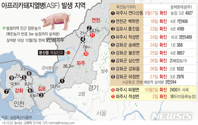 【서울=뉴시스】농림축산식품부는 2일  파주시 문산읍 소재 양돈 농가에서 아프리카돼지열병(ASF) 의심 신고 1건이 신고됐다고 밝혔다. ASF는 현재까지 총 11곳에서 확진판정을 받았다. (그래픽=안지혜 기자) hokma@newsis.com