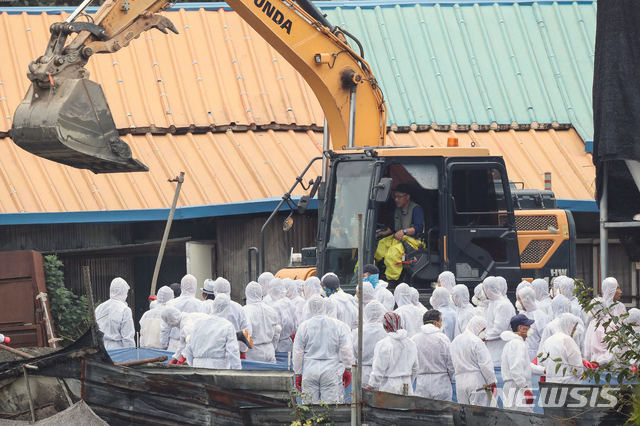 【파주=뉴시스】김병문 기자 = 국내 10번째 아프리카돼지열병(ASF)이 발병한 2일 오전 경기 파주 파평면의 ASF 확진 판정을 받은 돼지 사육 농가에서 방역당국 관계자들이 돼지 살처분을 위한 준비작업을 하고 있다. 2019.10.02.&nbsp; dadazon@newsis.com