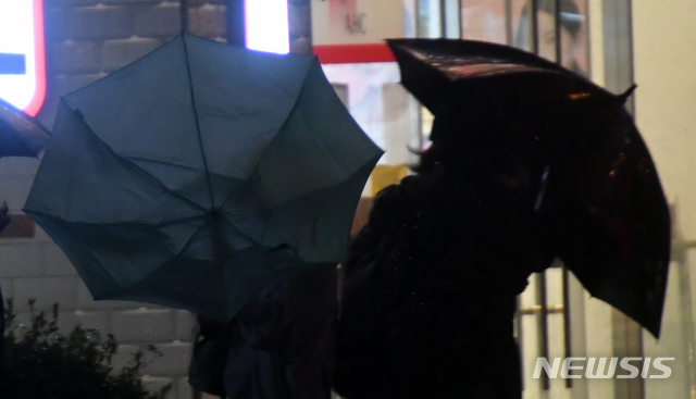 【부산=뉴시스】 하경민 기자 = 제18호 태풍 '미탁'(MITAG)이 북상하면서 부산지역에 '태풍경보'가 발효된 2일 오후 부산 해운대구의 한 횡단보도에서 시민들이 비바람에 맞서 힘겹게 걸어가고 있다. 2019.10.02.&nbsp; yulnetphoto@newsis.com