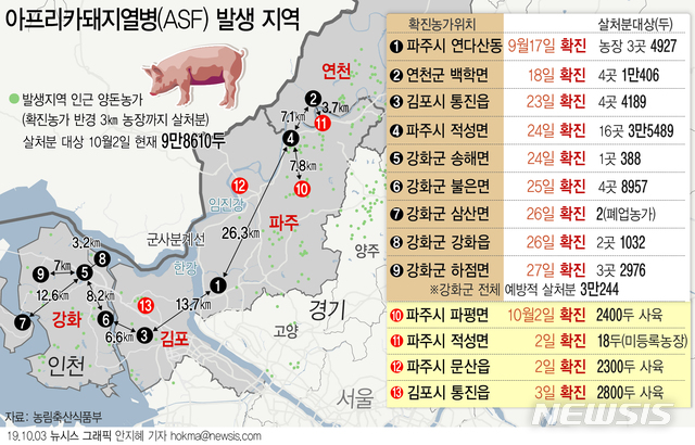 【서울=뉴시스】경기 김포시 통진읍 소재 돼지농장이 아프리카돼지열병(ASF) 확진 판정을 받았다. 지난달 17일 첫 발생 이후 16일 만에 확진 사례가 13건으로 늘었다. (그래픽=안지혜 기자) hokma@newsis.com